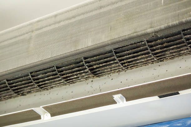 Best Commercial Air Duct Cleaning  in Stockdale, TX